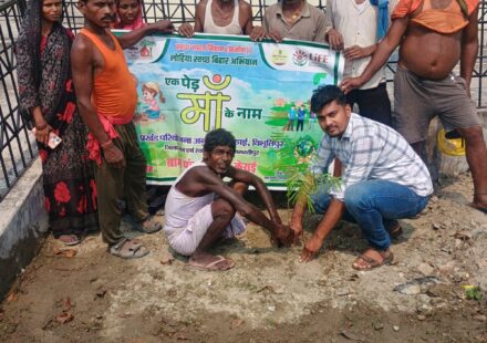 ग्राम पंचायत राज केराई में विश्व पर्यावरण दिवस पर वृक्षारोपण करते स्वच्छता कर्मी और ग्रामीण